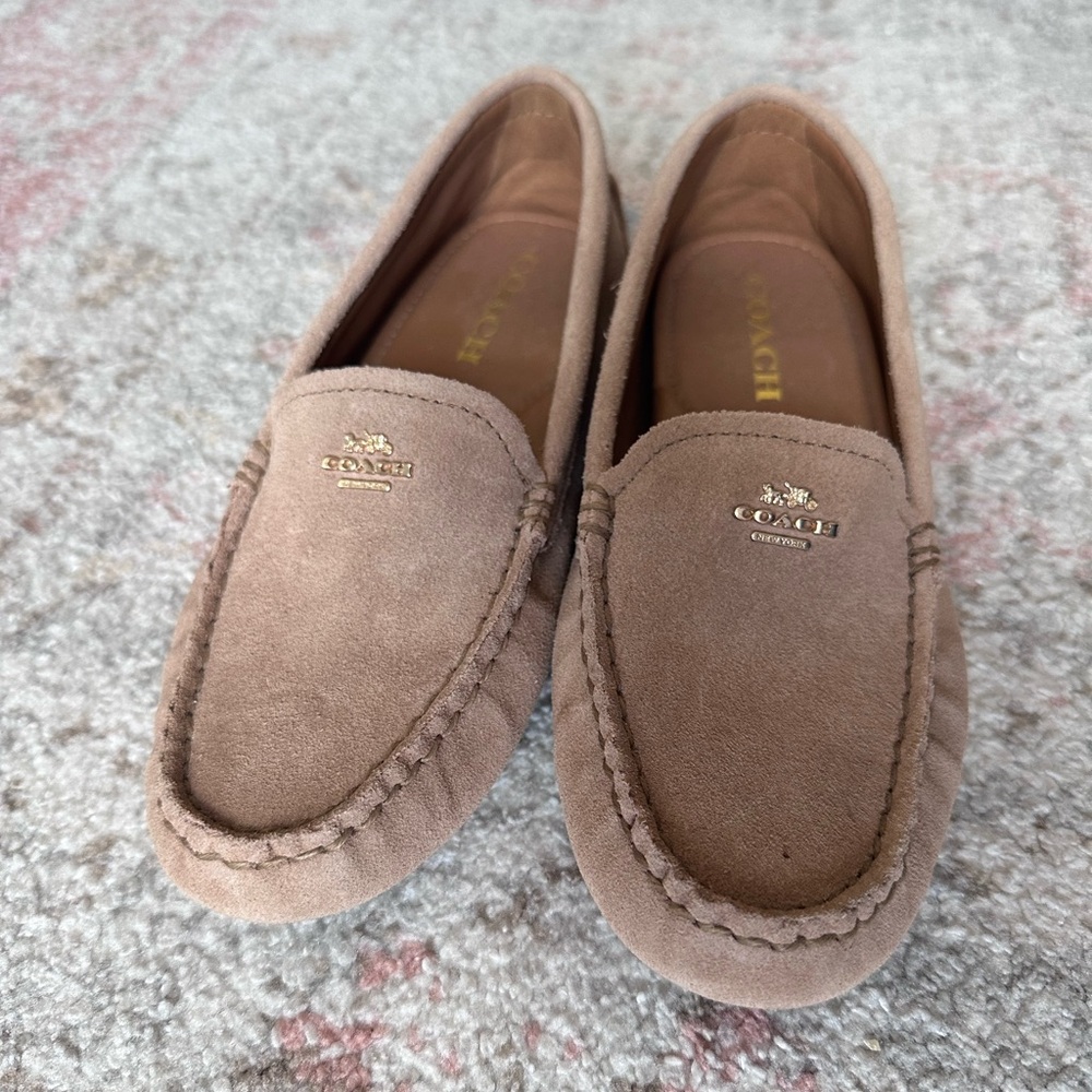 Coach, Amber suede NEW loafers, size 6.5